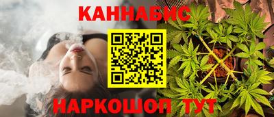 mdpv Можга