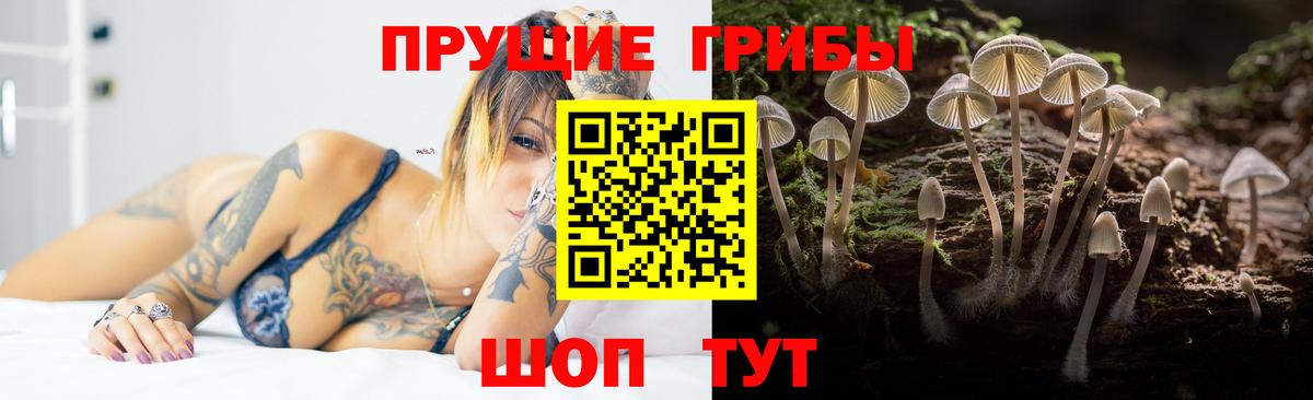 Екатеринбург  цены наркотик  Вход с VPN  Псилоцибиновые грибы Cubensis 